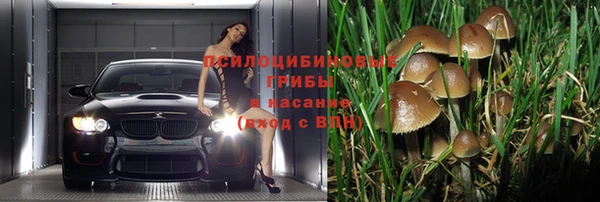 дмт Заволжье