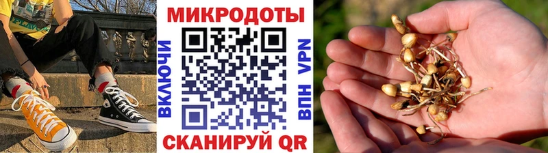 Галлюциногенные грибы ЛСД  Купить где  Жуковка 